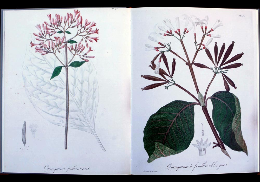 Historia de la medicina valenciana