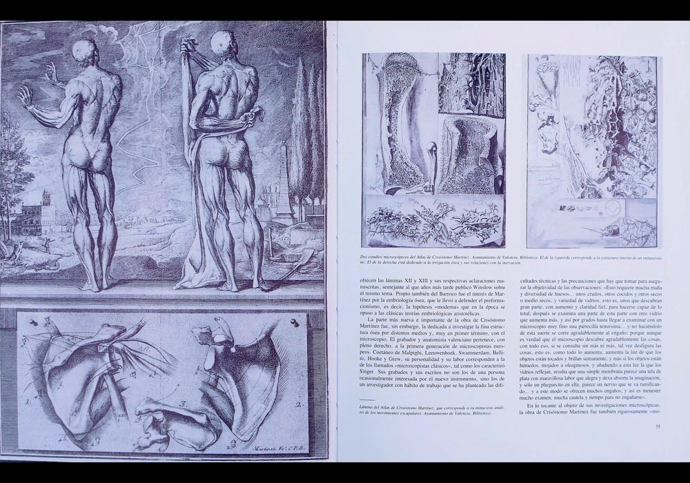 Historia de la medicina valenciana