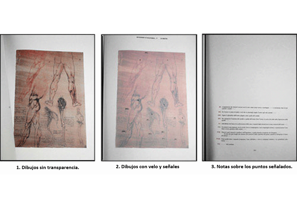 Codice Atlántico I, II y III - Leonardo da Vinci - Detalle-2