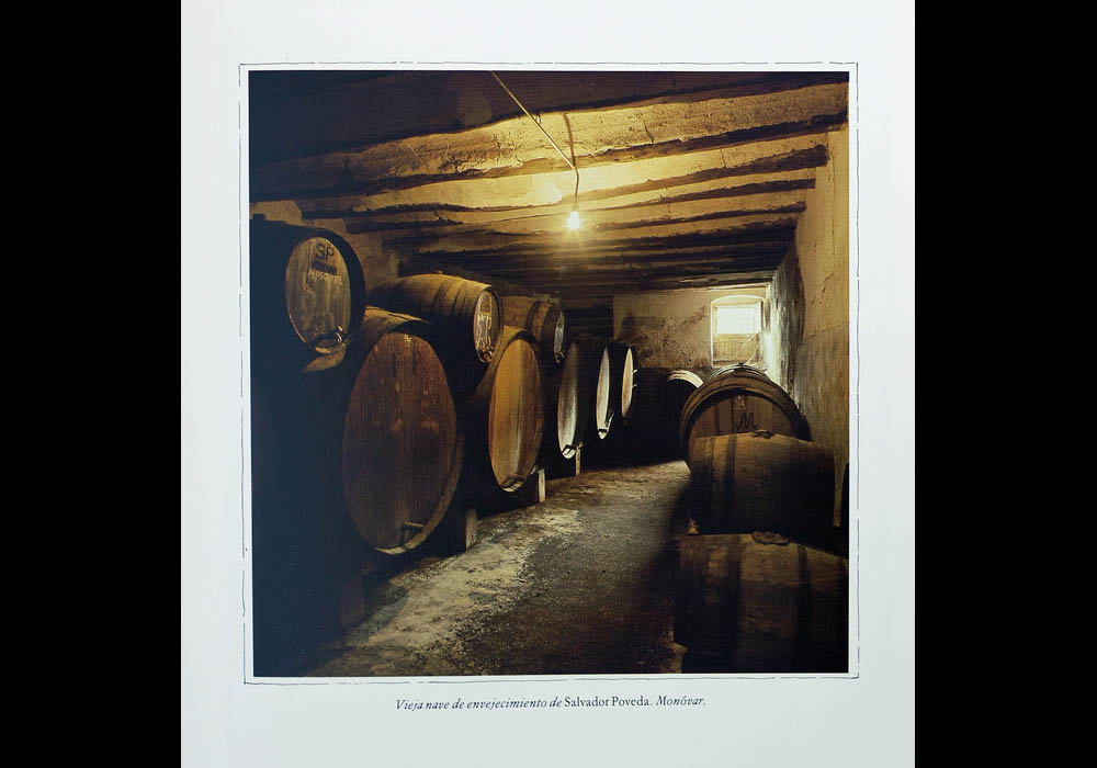 Tem&aacute;tica Valenciana - Nuestras Vinos