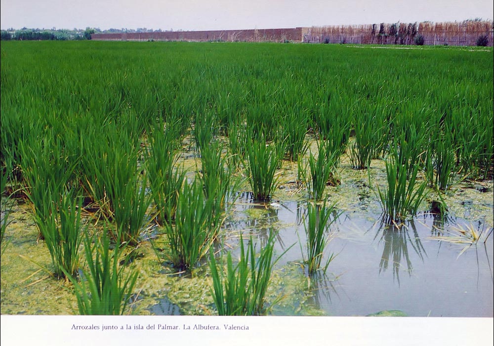Colecci�n Nuestras tierras
