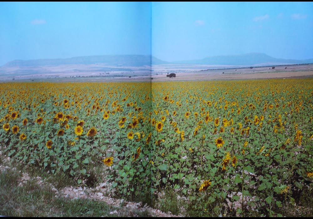Colecci�n Nuestras tierras