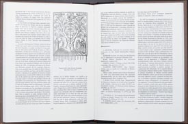 Bibliofilia Antigua V. V Incunables. Vicent García Editores.