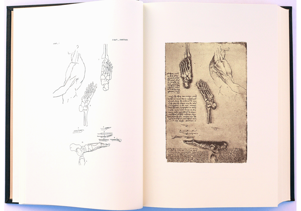 Codice dell'Anatomia. - Leonardo da Vinci - Abierto-1