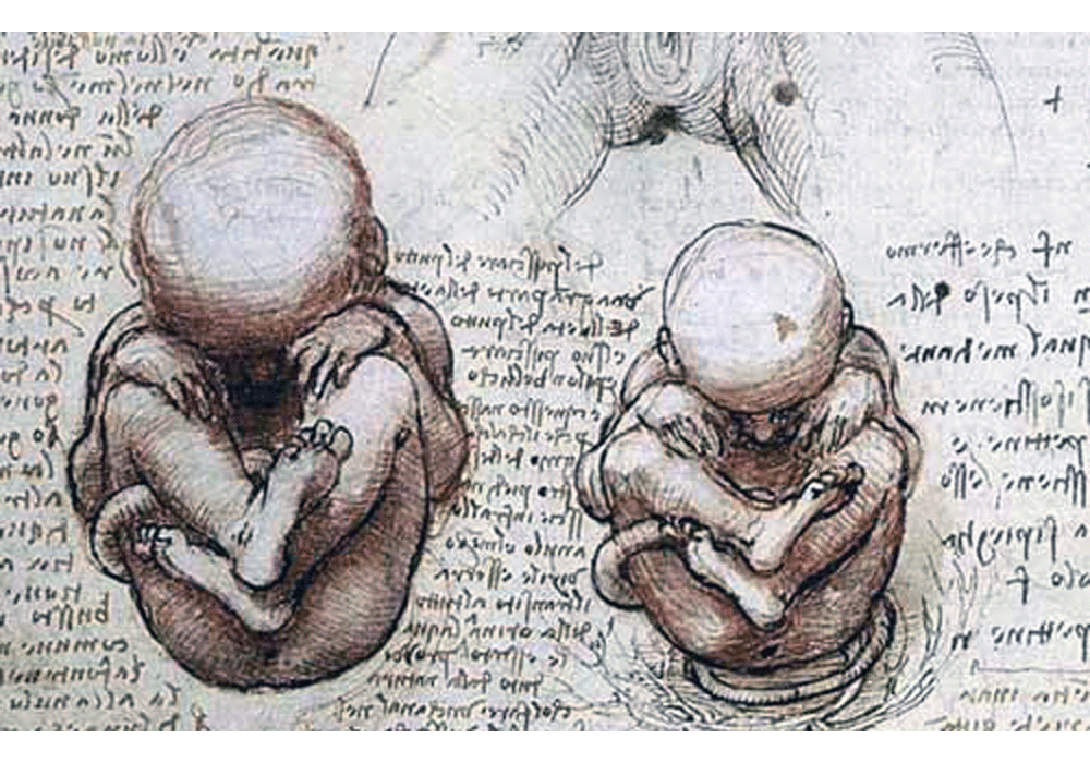 Quaderni dell'Anatomia. - Leonardo da Vinci - Detalle
